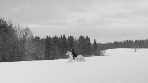 Przez pokrytą sniegiem polanę galopuje biały koń. Na nim, w siodle siedzi kobieta w czarnym habicie i czarnej, pikowanej kurtce. Na horyzoncie widać ośnieżone wierzchołki drzew.