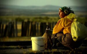 Starsza kobieta w żółtej bluzce i chustce na głowie kuca na ziemi na tle rozległego krajobrazu. Na plecach ma duży worek, a obok stoi białe wiadro i narzędzia do pracy przy pszczołach. W oddali widać drewniane ogrodzenie oraz wzgórza w ciepłym świetle zachodzącego słońca.