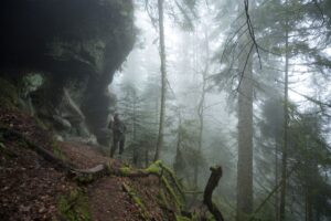 Mężczyzna z aparatem w zamglonym lesie